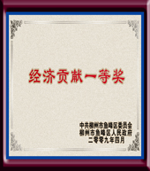 經(jīng)濟貢獻一等獎